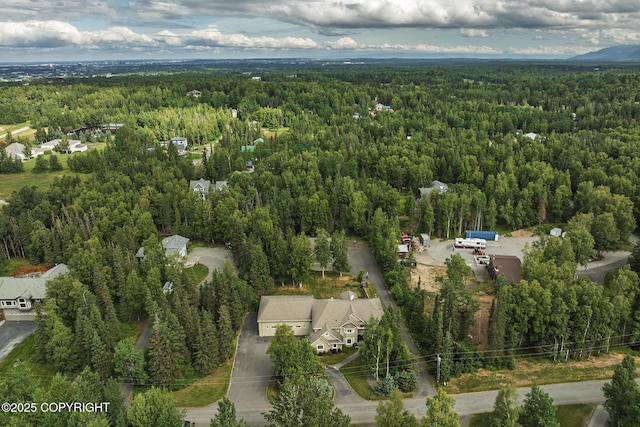 3641 E Klatt Rd, Anchorage, AK 99516 - photo 83