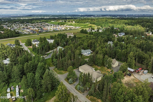 3641 E Klatt Rd, Anchorage, AK 99516 - photo 84