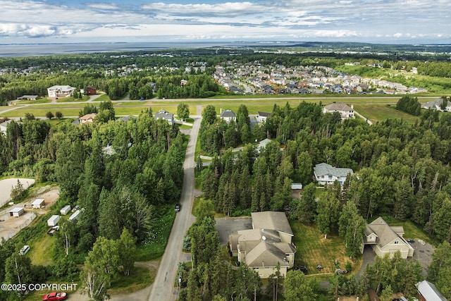 3641 E Klatt Rd, Anchorage, AK 99516 - photo 85
