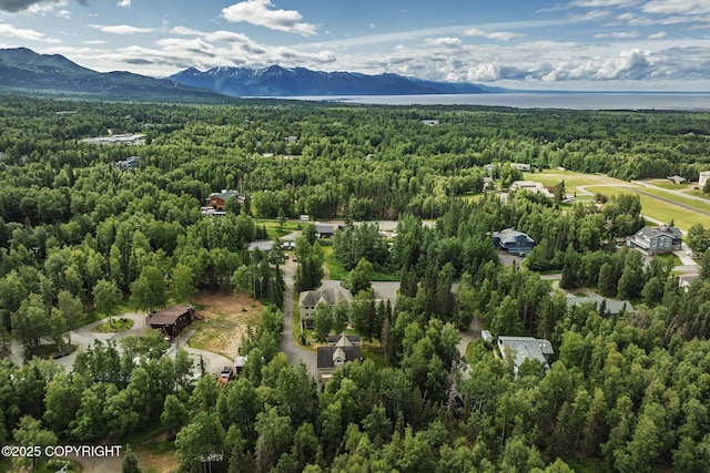 3641 E Klatt Rd, Anchorage, AK 99516 - photo 87