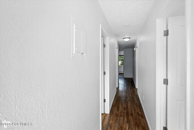 2040 Minerva Way, Anchorage, AK 99515 - photo 22