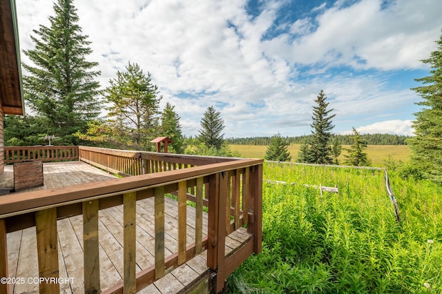 70560 Tall Tree Ave, Anchor Point, AK 99556 - photo 19