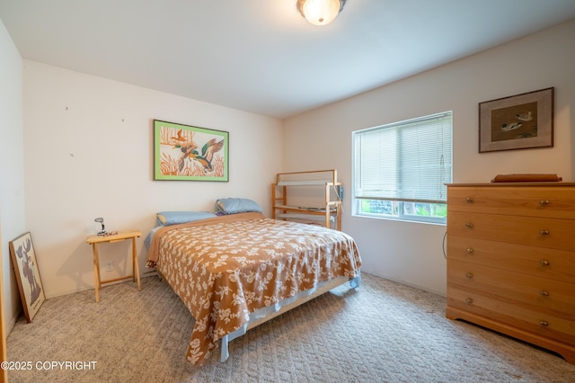 70560 Tall Tree Ave, Anchor Point, AK 99556 - photo 9