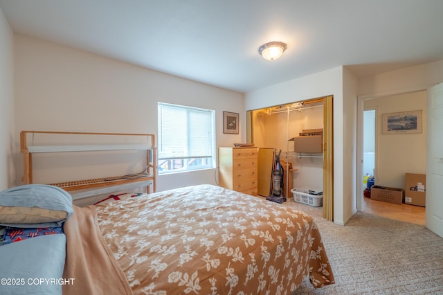 70560 Tall Tree Ave, Anchor Point, AK 99556 - photo 10