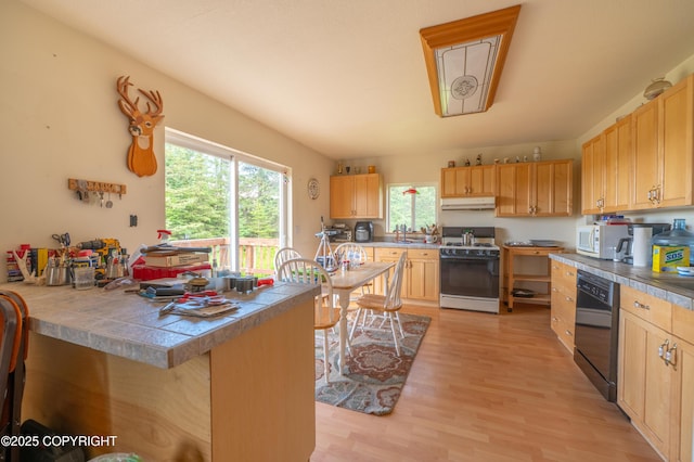 70560 Tall Tree Ave, Anchor Point, AK 99556 - photo 4