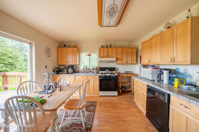 70560 Tall Tree Ave, Anchor Point, AK 99556 - photo 5