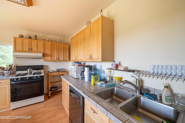 70560 Tall Tree Ave, Anchor Point, AK 99556 - photo 6