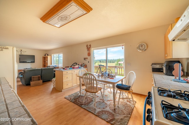70560 Tall Tree Ave, Anchor Point, AK 99556 - photo 3