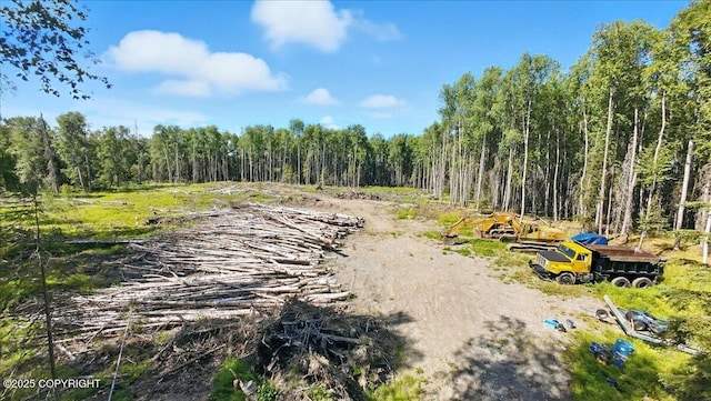 13964 W Little Jack Ave, Wasilla, AK 99623 - photo 3