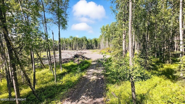 13964 W Little Jack Ave, Wasilla, AK 99623 - photo 9