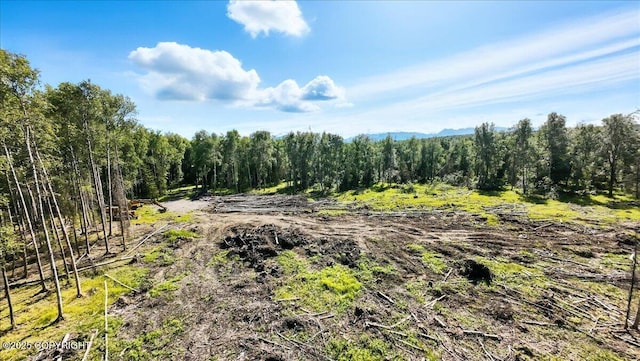 13964 W Little Jack Ave, Wasilla, AK 99623 - photo 10