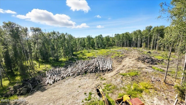 13964 W Little Jack Ave, Wasilla, AK 99623 - photo 19