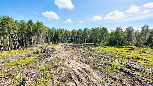 13964 W Little Jack Ave, Wasilla, AK 99623 - photo 21