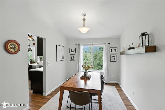 21009 River Park Dr, Eagle River, AK 99577 - dining room with dark wood-style floors and lofted ceiling