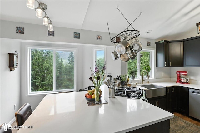 21009 River Park Dr, Eagle River, AK 99577 - kitchen featuring stainless steel dishwasher, light countertops, dark wood-type flooring, and range