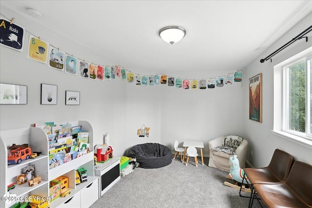 21009 River Park Dr, Eagle River, AK 99577 - recreation room featuring carpet floors
