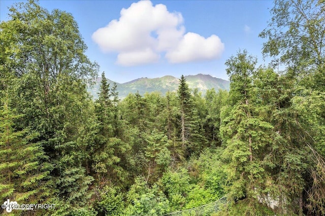 21009 River Park Dr, Eagle River, AK 99577 - view of mountain background featuring a forest