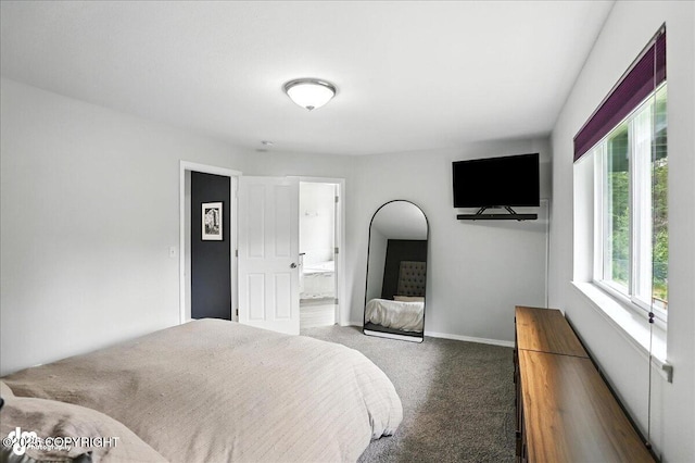 21009 River Park Dr, Eagle River, AK 99577 - bedroom with carpet and connected bathroom