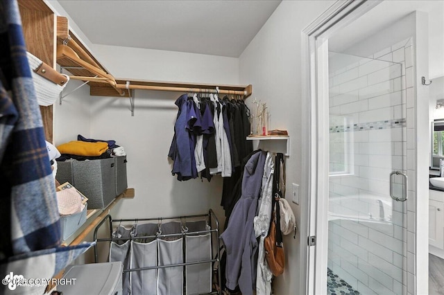 21009 River Park Dr, Eagle River, AK 99577 - view of walk in closet