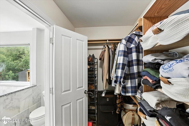 21009 River Park Dr, Eagle River, AK 99577 - view of walk in closet