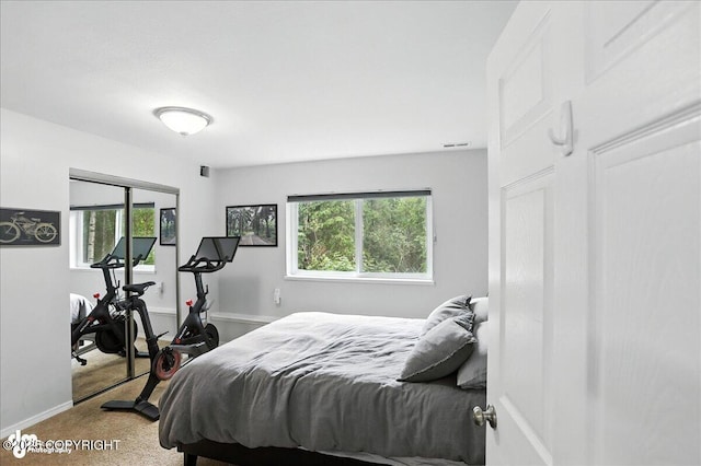 21009 River Park Dr, Eagle River, AK 99577 - carpeted bedroom with baseboards and a closet
