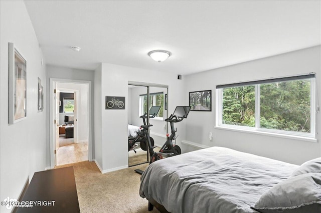 21009 River Park Dr, Eagle River, AK 99577 - bedroom with light carpet and a closet