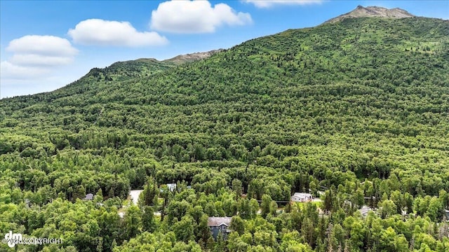 21009 River Park Dr, Eagle River, AK 99577 - view of mountain backdrop featuring a forest