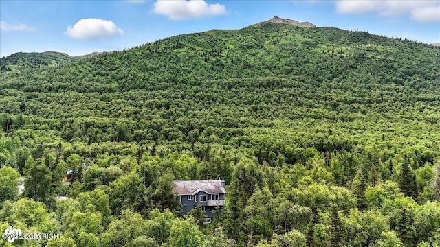 21009 River Park Dr, Eagle River, AK 99577 - view of mountain background with a heavily wooded area