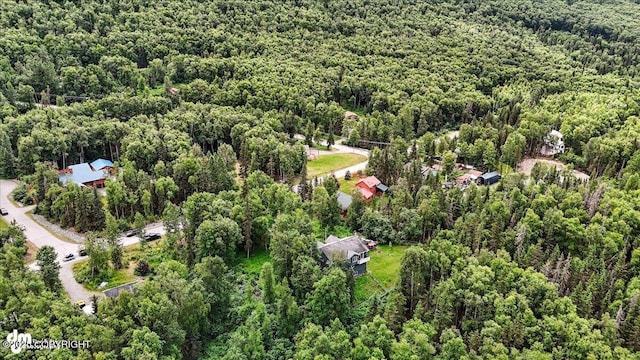 21009 River Park Dr, Eagle River, AK 99577 - aerial view of property's location featuring a forest