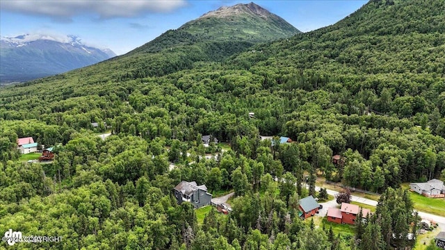 21009 River Park Dr, Eagle River, AK 99577 - aerial view of property and surrounding area with a forest and a mountain backdrop