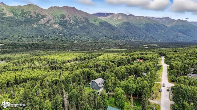 21009 River Park Dr, Eagle River, AK 99577 - view of mountain backdrop with a heavily wooded area