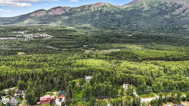 21009 River Park Dr, Eagle River, AK 99577 - mountain view with a forest
