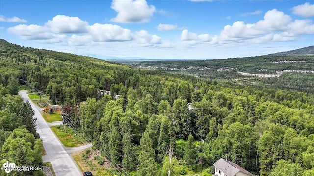 21009 River Park Dr, Eagle River, AK 99577 - drone / aerial view of a forest