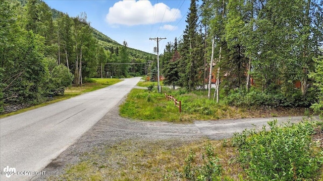 21009 River Park Dr, Eagle River, AK 99577 - view of asphalt road with a forest view
