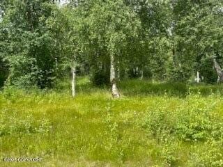 3261 S Charming Valley Loop, Palmer, AK 99645 - photo 3
