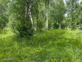 3261 S Charming Valley Loop, Palmer, AK 99645 - photo 4