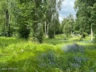 3261 S Charming Valley Loop, Palmer, AK 99645 - photo 1