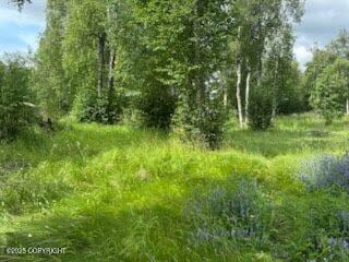 3261 S Charming Valley Loop, Palmer, AK 99645 - photo 5