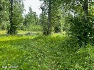 3261 S Charming Valley Loop, Palmer, AK 99645 - photo 6