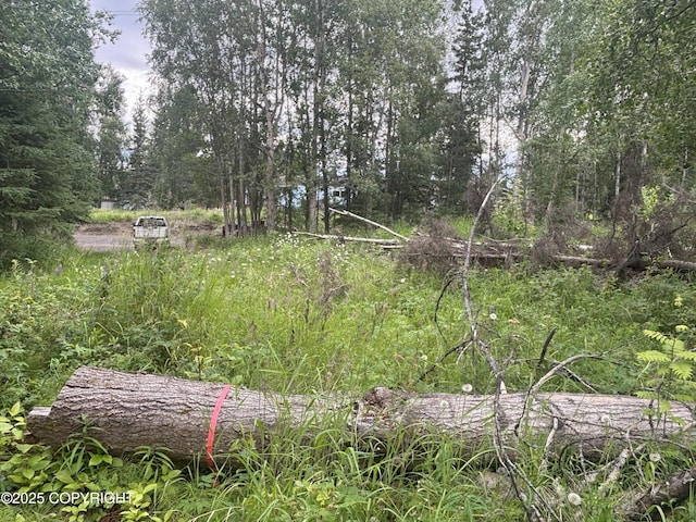 2925 W 36th Ave, Anchorage, AK 99517 - photo 8