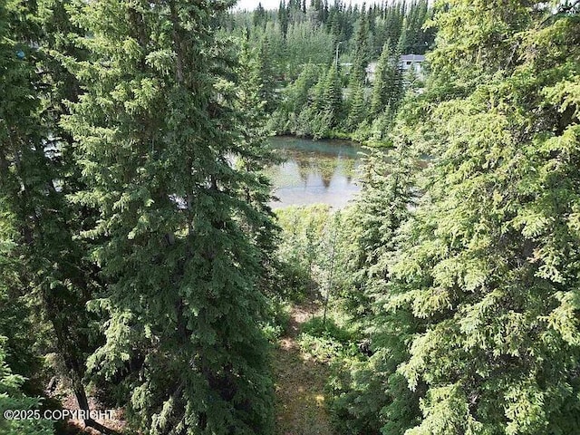 2536 Clydesdale Dr, North Pole, AK 99705 - photo 30