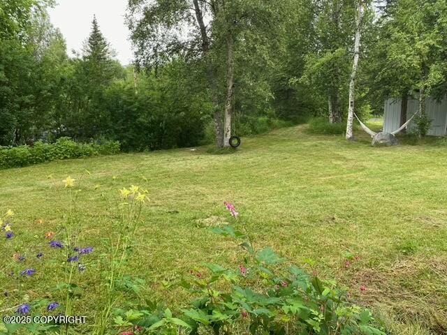 4060 N Bull Moose Dr, Wasilla, AK 99654 - photo 33