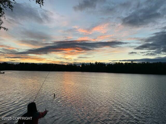 4060 N Bull Moose Dr, Wasilla, AK 99654 - photo 38