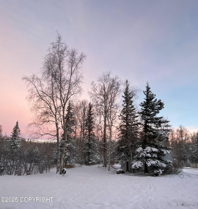 4060 N Bull Moose Dr, Wasilla, AK 99654 - photo 39