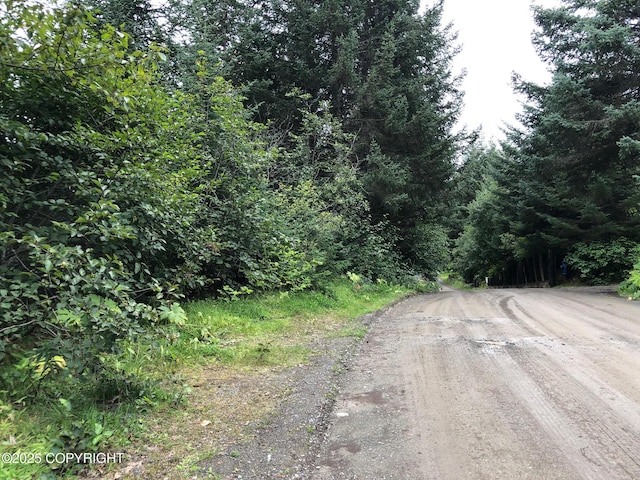 L1 Shoreline Dr, Seldovia, AK 99663 - photo 11
