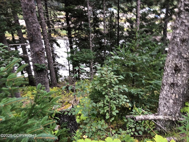 L1 Shoreline Dr, Seldovia, AK 99663 - photo 9