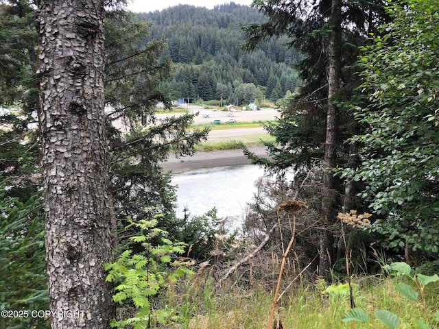L1 Shoreline Dr, Seldovia, AK 99663 - photo 6