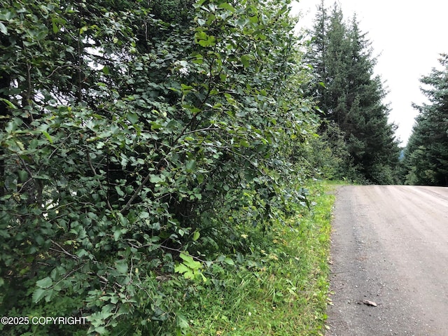 L1 Shoreline Dr, Seldovia, AK 99663 - photo 12