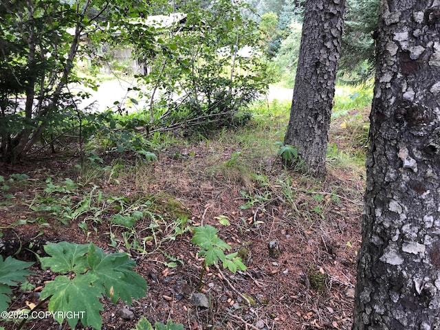 L1 Shoreline Dr, Seldovia, AK 99663 - photo 13