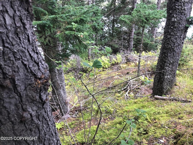 L1 Shoreline Dr, Seldovia, AK 99663 - photo 14